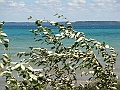 Western Michigan [2010] 562